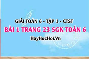 Giải bài 1 trang 23 Toán 6 Tập 1 SGK Chân trời sáng tạo